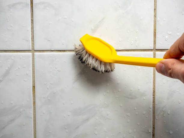 Best Mold Testing and Inspection Services in Duquesne, MO