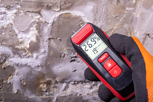 Best Emergency Mold Remediation in Duquesne, MO