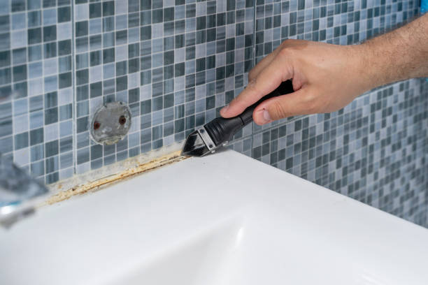 Best Commercial Mold Remediation in Duquesne, MO